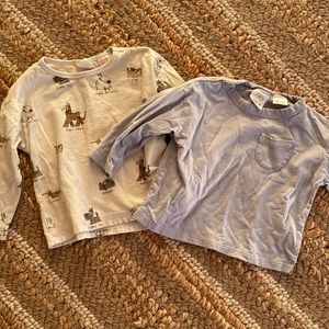 Zara long sleeve